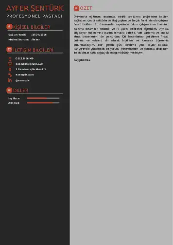 Pastacı Cv Örnekleri cv indir